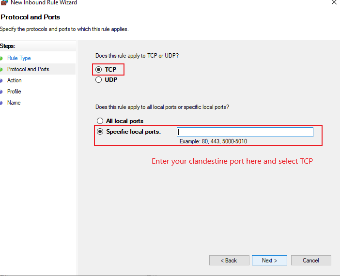 Set TCP Rule and your Clandestine Port number